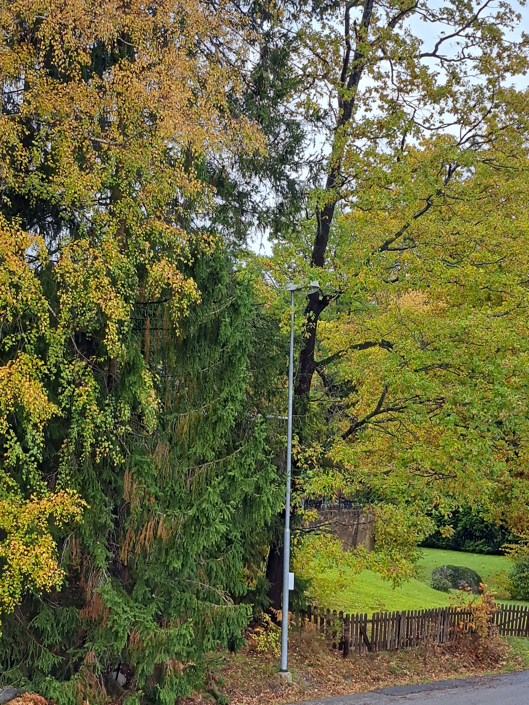 20231023_112759_resized